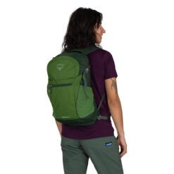 Alternative view of Osprey  Daylite Plus Pack - Green Belt/Green Canopy