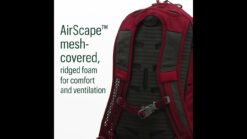 Alternative view of Osprey  Daylite Pack - Alkaline